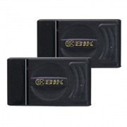Loa karaoke Nhật BIK BJ S886 bass 25cm