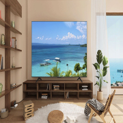 Google Tivi LED TCL 4K 65 inch 65P755 Pro