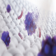 Máy Sấy Bơm Nhiệt Panasonic 10.5 Kg NH-EH05JD1BV