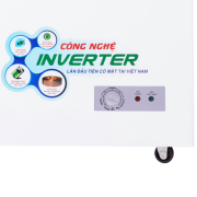 Tủ đông Sanaky Inverter 208 lít VH2599A3