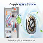 Tủ Lạnh Inverter Beko RTNT290E50VZX