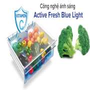 Tủ Lạnh Inverter Beko RTNT290E50VZX