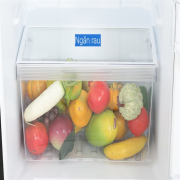 Tủ lạnh Toshiba Inverter 233 lít GR-RT303WE-PMV