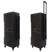 Loa kéo karaoke Dalton TS-15G600N 600W