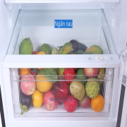 Tủ lạnh Toshiba Inverter 407 lít GR-RT535WE-PMV-MG