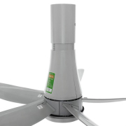 Quạt trần Kadeka T60DW