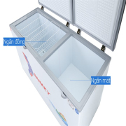 Tủ đông Sanaky 485 lít VH-6699W1