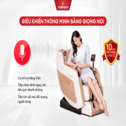Ghế massage Toshiko T81