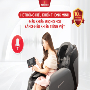 Ghế massage Toshiko T80