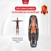 Ghế massage Toshiko T98