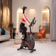 Xe đạp tập Toshiko W15