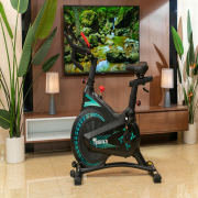 Xe đạp tập Toshiko X11