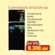 Tủ lạnh Panasonic Inverter 326 lít NR-TL351GPKV