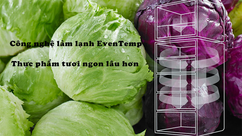 C&ocirc;ng nghệ l&agrave;m lạnh nhiệt EvenTemp